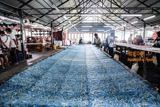 槟城文化探索 一城五国风情的测绘之旅